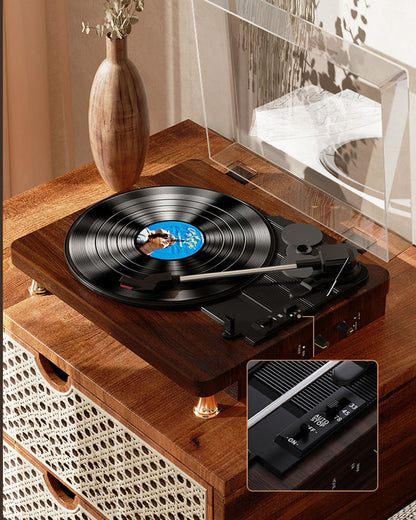 Vinyl Bluetooth Record Player