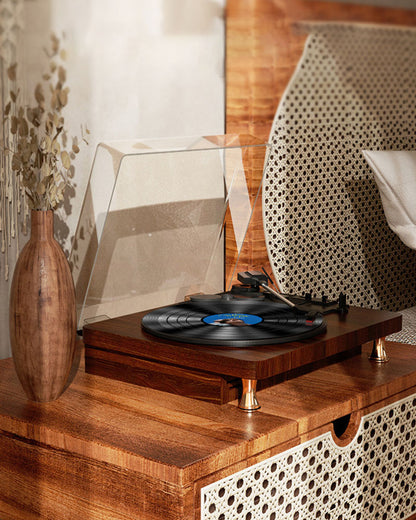 Vinyl Bluetooth Record Player