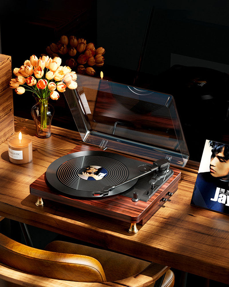 Vinyl Bluetooth Record Player