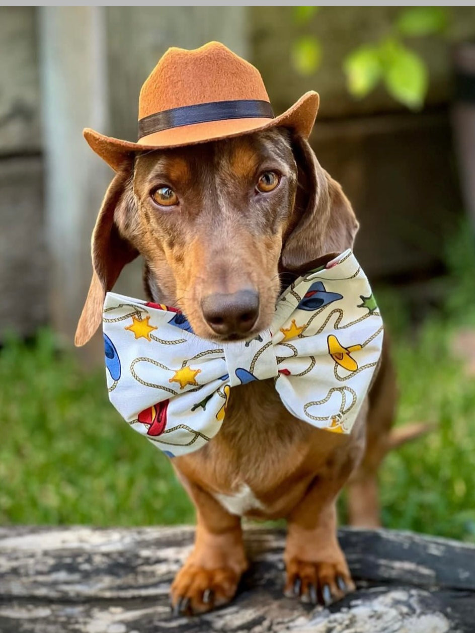 Pet Cat Dog Western Cowboy Hat