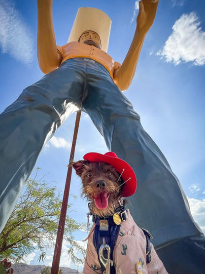 Pet Cat Dog Western Cowboy Hat