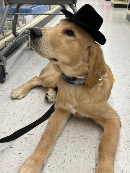 Pet Cat Dog Western Cowboy Hat