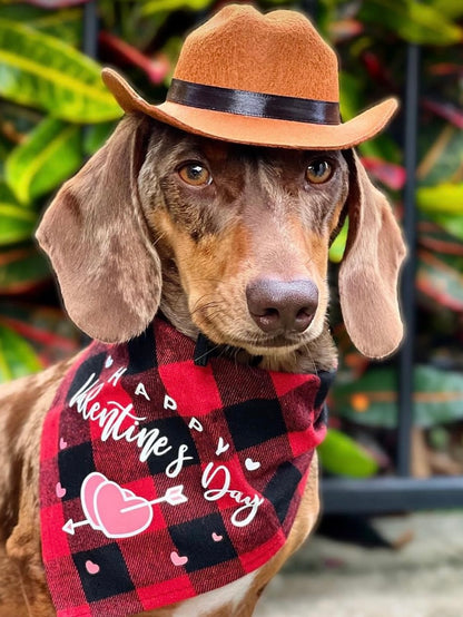 Pet Cat Dog Western Cowboy Hat